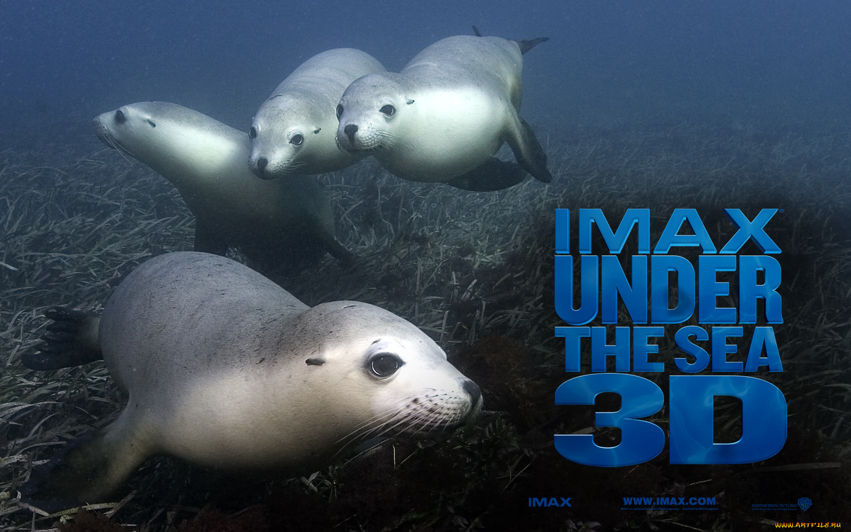 under, the, sea, 3d, , 